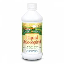 Chlorophyll Liquid - 480 ml
